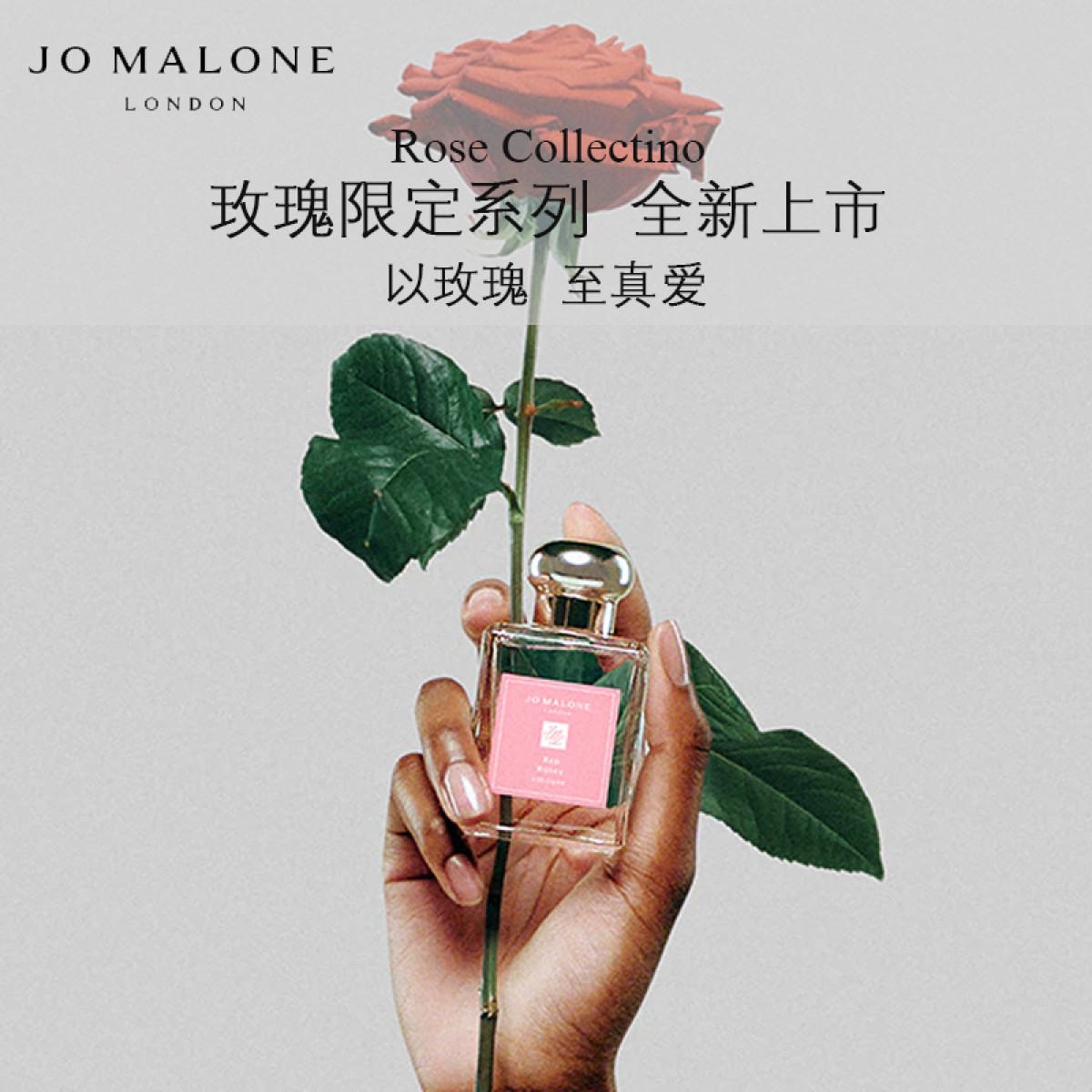 Jo Malone London祖玛珑玫瑰限定系列女士香水