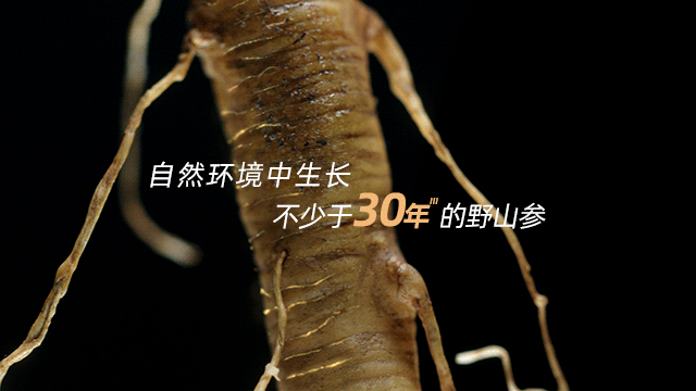 10004.gif